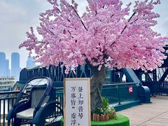 -武汉知音号