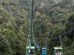 -野象谷景区