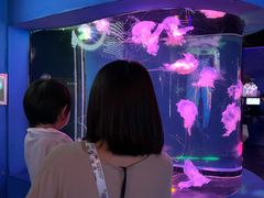 -太平洋海底世界