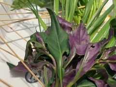 -牛签签串串香(IFS店)