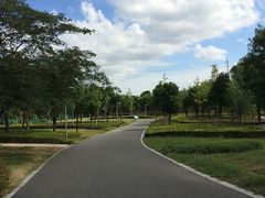 -九里河湿地公园