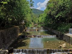 -广州白江湖森林公园