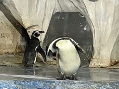 -太平洋海底世界