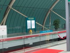 -龙阳路磁悬浮列车总站-停车场