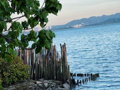 -深圳湾公园(南山区)