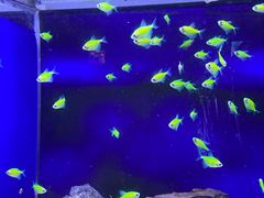 -海合安青岛极地海洋公园