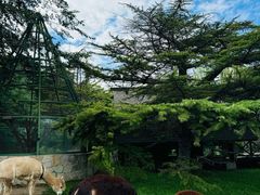 -银树楼(紫玉山庄东区店)