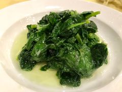 清炒豆苗-王宝和酒家(黄浦店)