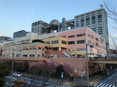 -台场海滨公园船码头