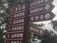 -大围山国家森林公园