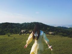 -大姆山草场