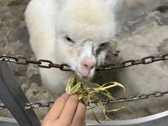 -上海大自然野生昆虫馆(东方明珠·爬宠昆虫探索中心)