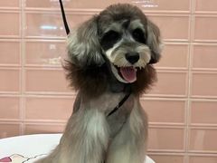 -FAELING PETS美天灵宠物(合生汇店)