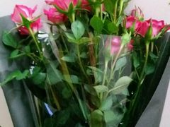 -花草间花行(法华镇路店)