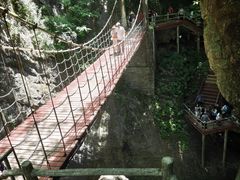 -牛背梁国家森林公园