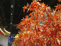 -杨记隆府重庆江湖菜(大悦城店)