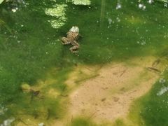 -重庆彩云湖湿地公园