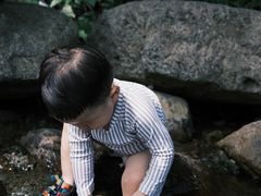 -北仑森林植物园