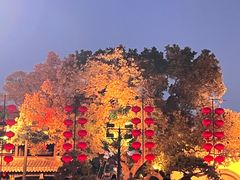 -江心屿景区