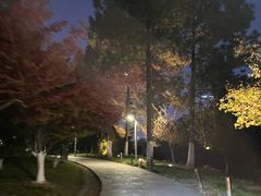 -天鹅湖体育公园