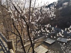 -蟠龙山长城景区