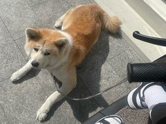 -YCHL Studios健身工作室(市二宫店)
