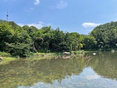 -大雁山风景区