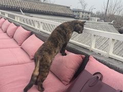 -EATALIA意塔利意式餐厅(鼓楼店)