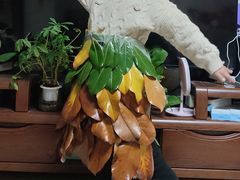 -尚贤河湿地