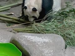 -青藏高原野生动物园
