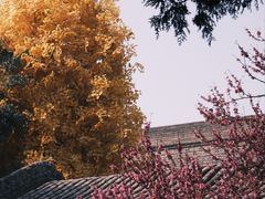 -西安市广仁寺