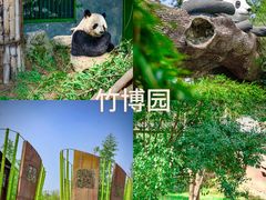 -将军关探险漂流