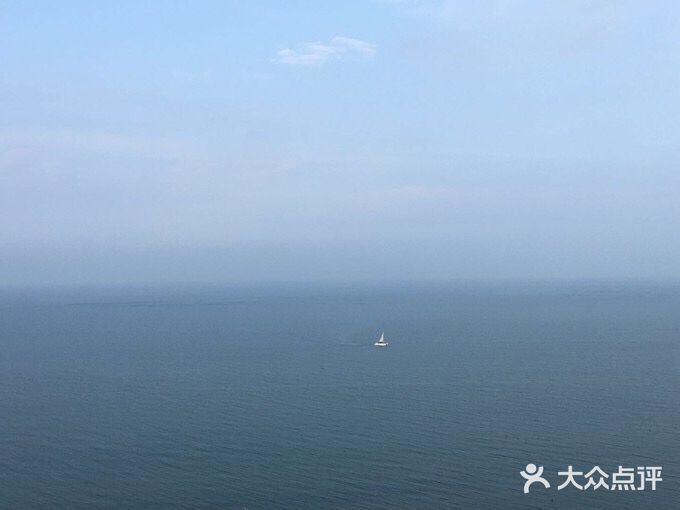 如家宠物家庭式寄养训练图片