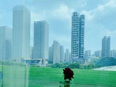 -红顶食府(滨湖九号店)