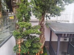 -流花苑精致潮粤菜(越秀店)