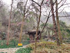 -九曜山