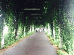 iphone_upload_pic-荷花荡