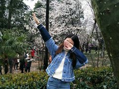 -武汉大学-樱园