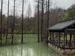 -兰亭风景区