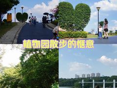 -东莞植物园