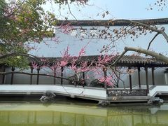 -秋霞圃