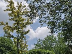 -上海佘山国家森林公园天马山园