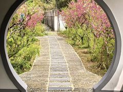 -南汇桃花村