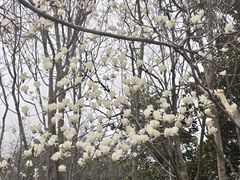 -郑州植物园