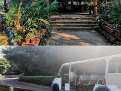 -三亚蜈支洲岛旅游区