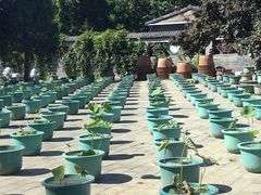 -莲花池公园