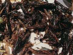 -壹加壹电烤串(总店)