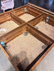 -酷嗒动物文化乐园(cutezoo西溪乐天城店)