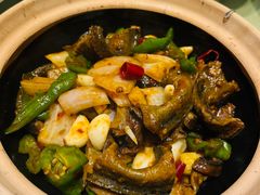 -刘胖子家常菜·蹄花焖藕(兴业店)