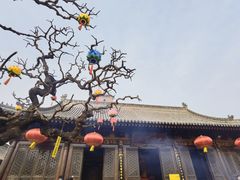 -大慈恩寺(大雁塔)